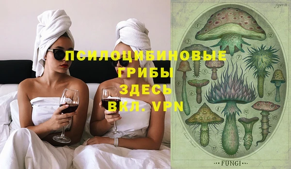 дурь Волоколамск